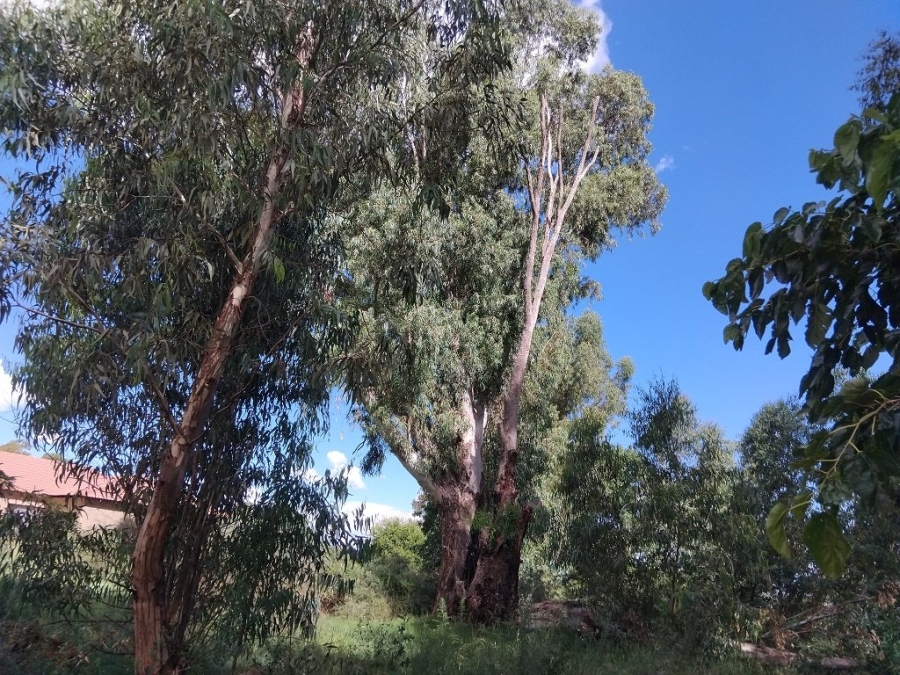 Commercial Property for Sale in Ellaton North West